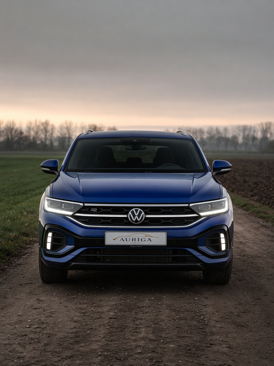 Véhicule importé livré en France